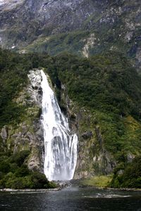Scenic view of waterfall in forest