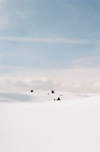 Snowy mountain top landscape with a few pine trees in the distance.