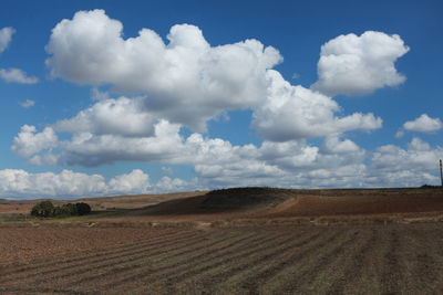 Scenic view of agricultural field against sky