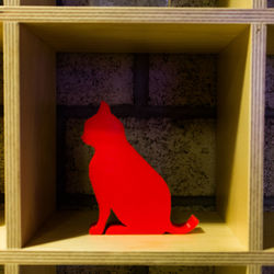 View of a red cat looking through window