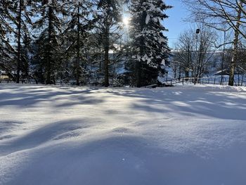 Trees on snow covered field against sky