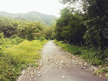 Scenic view of landscape against clear sky