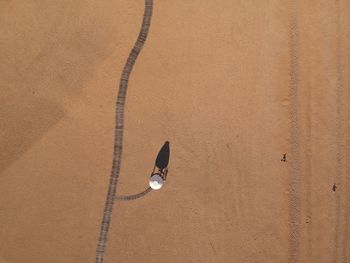 High angle view of a bird on sand