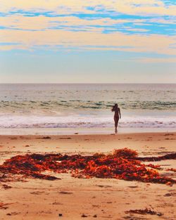 Scenic view of beach at sunset