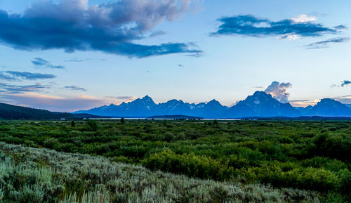 Scenic view of landscape against sky