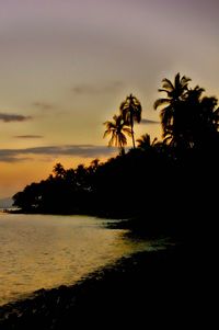 Silhouette of palm trees at sunset