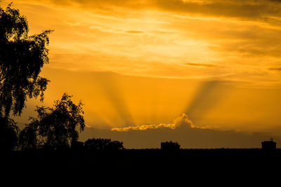 Silhouette trees against dramatic sky during sunset