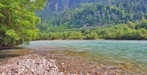 Scenic view of river in forest against sky