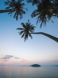 Scenic view of tropical island bay with overhang coconut palm tree. koh mak island, trat, thailand.
