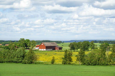 Trees and houses on field against sky