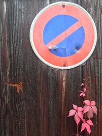 Close-up of red wood