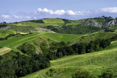 Scenic view of green landscape against sky