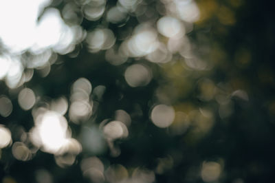 Defocused image of illuminated lights