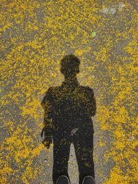 High angle view of man standing on yellow wall