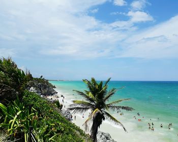 Palm trees on beach against blue sky