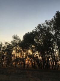 Silhouette trees on field against sky at sunset