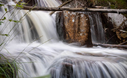 Low angle view of waterfall in forest