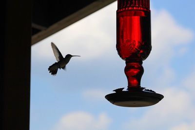 Low angle view of bird flying in sky