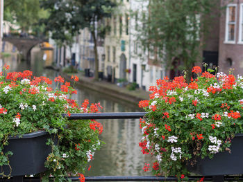 Utrecht in the netherlands