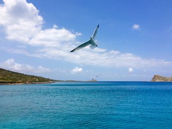 Seagulls flying over sea against sky