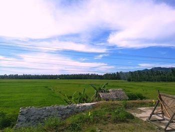 Scenic view of agricultural field against sky