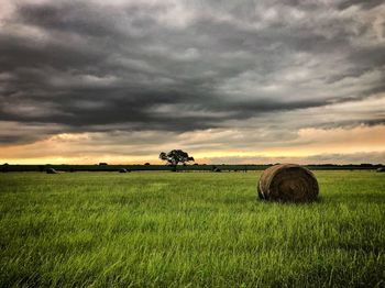Hay bales on field against sky during sunset