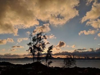 Silhouette tree by sea against sky at sunset