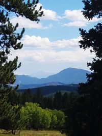 Scenic view of trees and mountains against sky