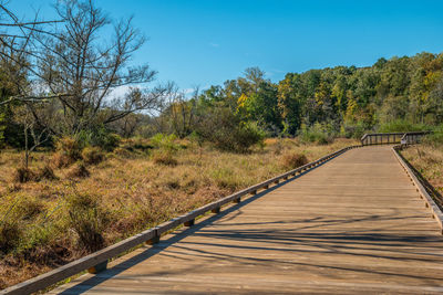 Boardwalk amidst trees on landscape against sky