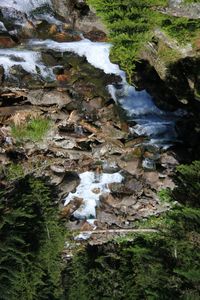 Stream flowing through rocks in forest