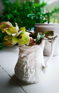 Close-up of plants in water