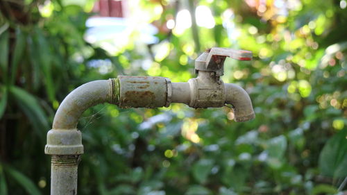 Close-up of old rusty pipe in garden