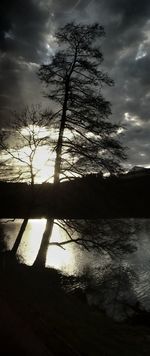 Bare trees against cloudy sky