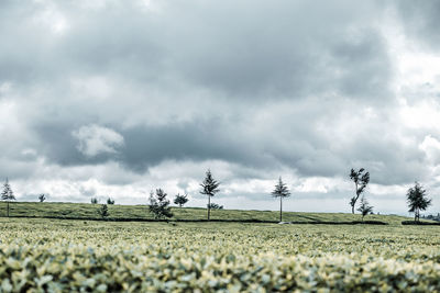 cloud
