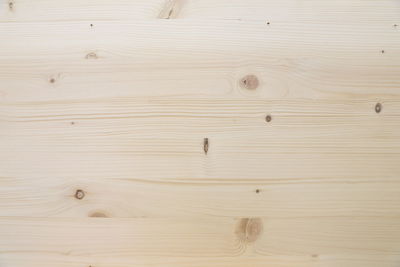 Full frame shot of wooden floor