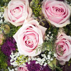 High angle view of rose bouquet
