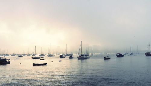 Sailboats moored in harbor against sky