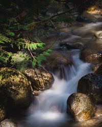 High angle view of water flowing over rocks in forest