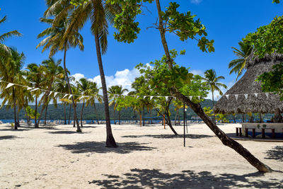 Palm trees on beach against clear blue sky