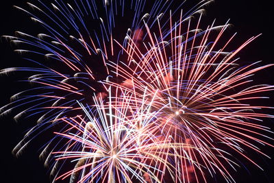 Low angle view of firework display at night