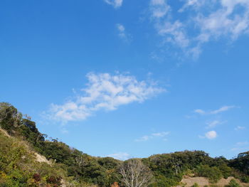 Low angle view of mountain against blue sky