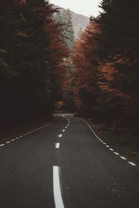 Empty road amidst trees against sky