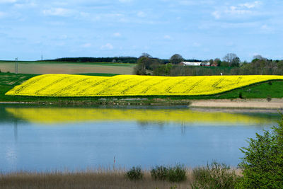 Scenic view of field by river against sky