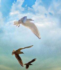 Low angle view of birds flying against sky