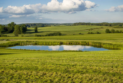 Scenic view of pond on grassy field against sky