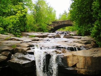 River flowing through forest