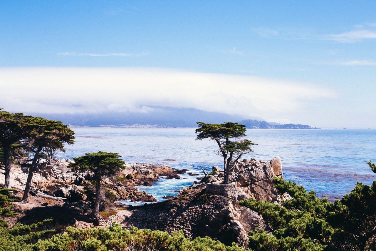 sea, water, horizon over water, scenics, tranquil scene, sky, tranquility, beauty in nature, tree, nature, rock - object, beach, rock formation, cloud - sky, coastline, shore, cliff, idyllic, rock, cloud