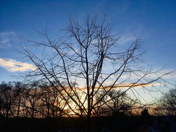 Low angle view of silhouette bare trees against sky
