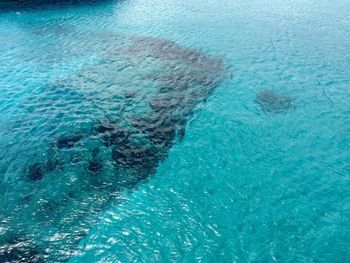 High angle view of blue sea