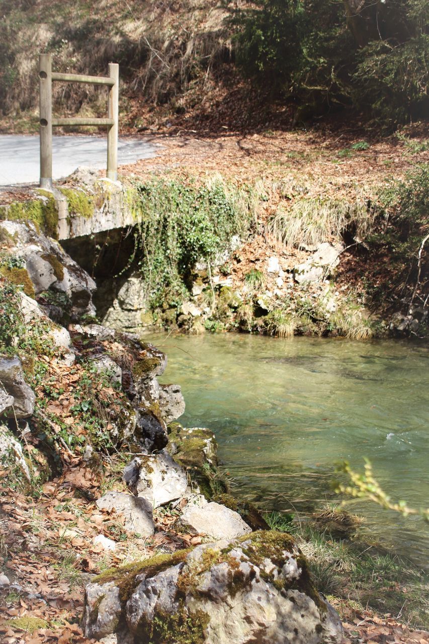 SCENIC VIEW OF LAKE BY ROCKS IN FOREST